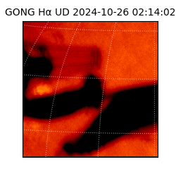 gong - 2024-10-26T02:14:02