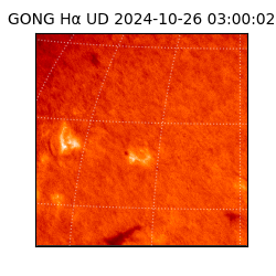 gong - 2024-10-26T03:00:02