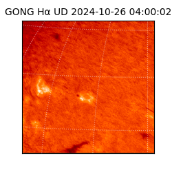 gong - 2024-10-26T04:00:02