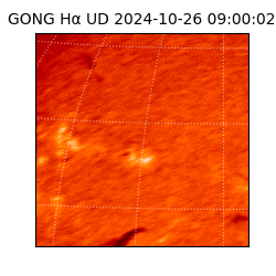 gong - 2024-10-26T09:00:02