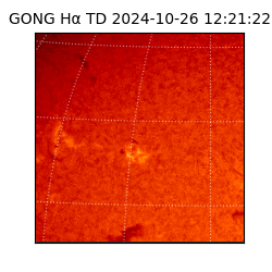 gong - 2024-10-26T12:21:22