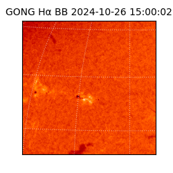 gong - 2024-10-26T15:00:02