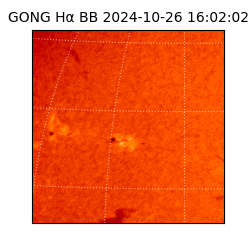 gong - 2024-10-26T16:02:02