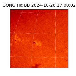 gong - 2024-10-26T17:00:02