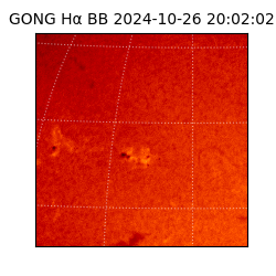 gong - 2024-10-26T20:02:02