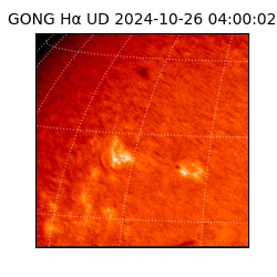 gong - 2024-10-26T04:00:02