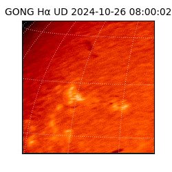 gong - 2024-10-26T08:00:02