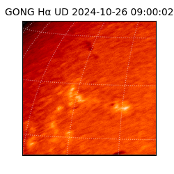 gong - 2024-10-26T09:00:02