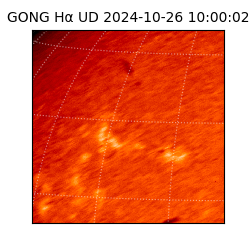 gong - 2024-10-26T10:00:02