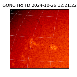 gong - 2024-10-26T12:21:22