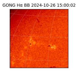 gong - 2024-10-26T15:00:02