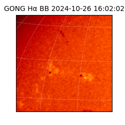 gong - 2024-10-26T16:02:02