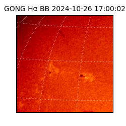 gong - 2024-10-26T17:00:02