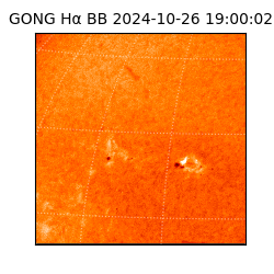 gong - 2024-10-26T19:00:02