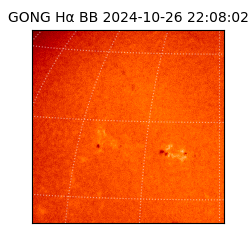 gong - 2024-10-26T22:08:02