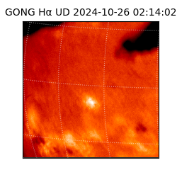 gong - 2024-10-26T02:14:02