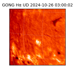 gong - 2024-10-26T03:00:02