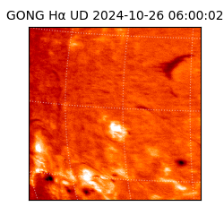 gong - 2024-10-26T06:00:02