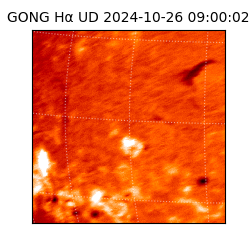 gong - 2024-10-26T09:00:02