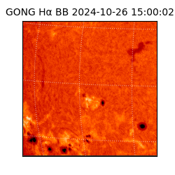 gong - 2024-10-26T15:00:02