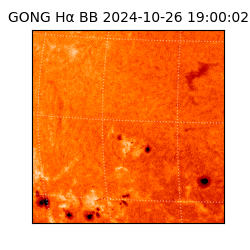 gong - 2024-10-26T19:00:02