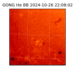 gong - 2024-10-26T22:08:02