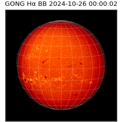 gong - 2024-10-26T00:00:02