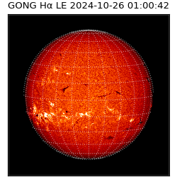 gong - 2024-10-26T01:00:42