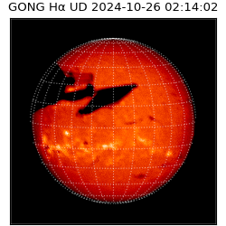gong - 2024-10-26T02:14:02