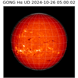 gong - 2024-10-26T05:00:02