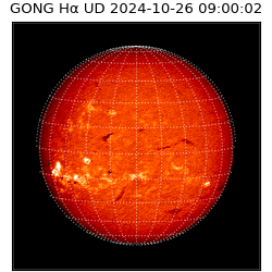 gong - 2024-10-26T09:00:02