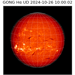 gong - 2024-10-26T10:00:02