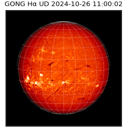 gong - 2024-10-26T11:00:02