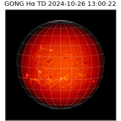 gong - 2024-10-26T13:00:22