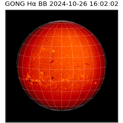 gong - 2024-10-26T16:02:02