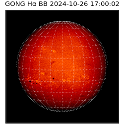 gong - 2024-10-26T17:00:02