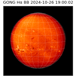 gong - 2024-10-26T19:00:02