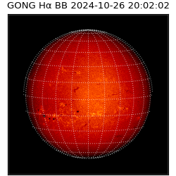 gong - 2024-10-26T20:02:02