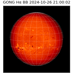 gong - 2024-10-26T21:00:02