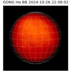gong - 2024-10-26T22:08:02