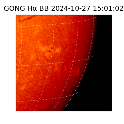 gong - 2024-10-27T15:01:02