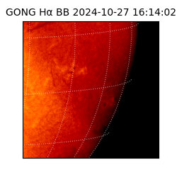 gong - 2024-10-27T16:14:02