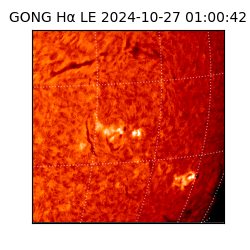 gong - 2024-10-27T01:00:42