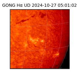 gong - 2024-10-27T05:01:02