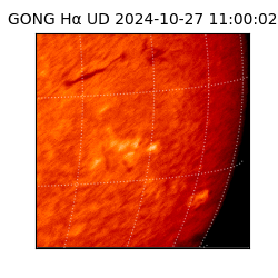 gong - 2024-10-27T11:00:02