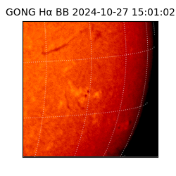 gong - 2024-10-27T15:01:02