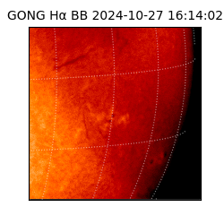 gong - 2024-10-27T16:14:02