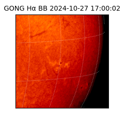 gong - 2024-10-27T17:00:02