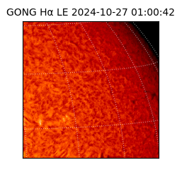 gong - 2024-10-27T01:00:42