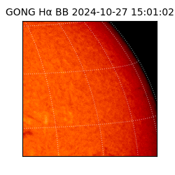 gong - 2024-10-27T15:01:02